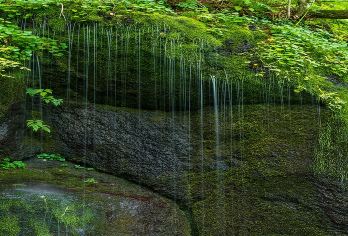 长白山景区1日游【15人小团 避暑胜地 亲子之旅 清肺之旅】【大美天池 自然景观】