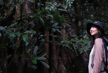 西双版纳基诺山雨林徒步一日游【精选向导|研学证书|探索雨林】【赠送研学证书+溯溪水路+竹筏+古法射箭+高空秋千+高空树降+彩妆花脸+抓螃蟹、找野果+等多种游玩项目】