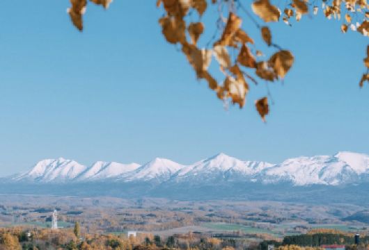 日本北海道札幌-孤独圣诞树-青池-白须瀑布可定制【中文专车】【中文专车出行，景点灵活调整，打卡经典，游玩自己定义，无需等待，专属贴心服务，尽享惬意旅程】