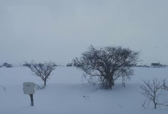 日本北海道+旭川+肯和玛丽之树一日游/行程可调-可定制多日【包车一日游，解锁旅行新方式！独立车辆配备经验丰富的老司机，为您量身打造专属行程。】