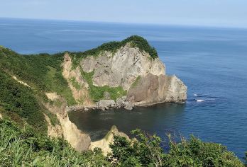 日本登别熊牧场-金屏风-蓬莱门-祝津公园【北海道中文专车】【中文专车出行，景点灵活调整，打卡经典，游玩自己定义，无需等待，专属贴心服务，尽享惬意旅程】