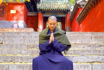 【私享包团】少林寺深度讲解（甄选优秀导游/禅宗体验之旅）【[私享包团]不用拼团不用等人，时间自由，行程更轻松】