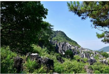 广西贺州+玉石林+十八水+酒店往返接送【当地司机，如果需要地陪，翻译等其他服务，可联系客服。】