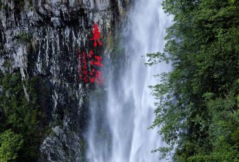 江西三百山景区东生围一日游 含司机导游 景区门票往返索道【[2人成团 专车私享] 独立用车，专属服务。拒绝大巴拥挤与拼团等待，行程自由灵活，享受私密旅行时光。】