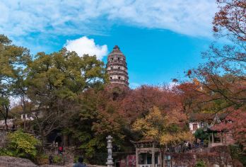 苏州+拙政园+狮子林+平江路历史街区+苏州博物馆+虎丘山G【全程中文/英文/俄语/小语种服务，沟通无障碍，景点可调】