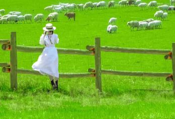 呼和浩特希拉穆仁草原一日游丨纯玩无购物丨骑马丨手扒羊肉丨【[轻松出行]丨市区直达景区丨纯玩团、无强制消费、无任何隐形购物丨】