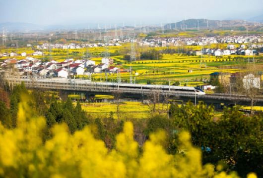 汉中新集岳岭高铁穿梭油菜花海+龙头山度假区【2-6人小团】【1.[2-6人小团]严选安全舒适车辆，当地老司机保驾护航，旅途更舒适，享受自在美好旅行。】