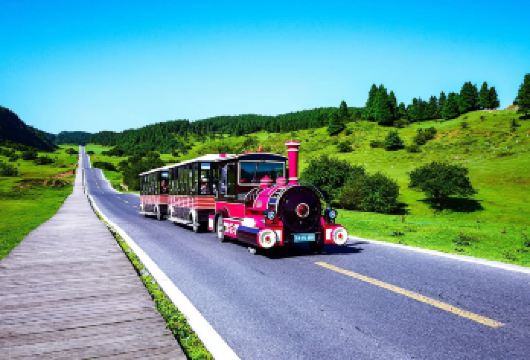 重庆仙女山国家森林公园一日游【2-8人小团·纯玩·无购物】【3年内车型，给我一次机会，还您安全，舒适的旅程，我们的座驾就是不一样！】