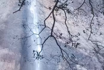 温州雁荡山精致小团一日游【灵峰+大龙湫+灵岩】市区上门接送【精致小团不拥挤，市区部分酒店上门接送，省去换乘麻烦，轻松开启雁荡山一日游。】