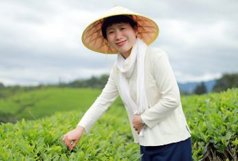 武夷山国家公园半日游【茶之旅 采茶制茶体验 可带走的茶叶】【解锁不一样的武夷山，打卡茶园基地；】