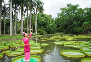 西双版纳热带植物园+野象谷一日游【私家小团丨上门接送】【睡醒出发，无需太早起，版纳老司机兼旅游管家，给您贴心的服务；】
