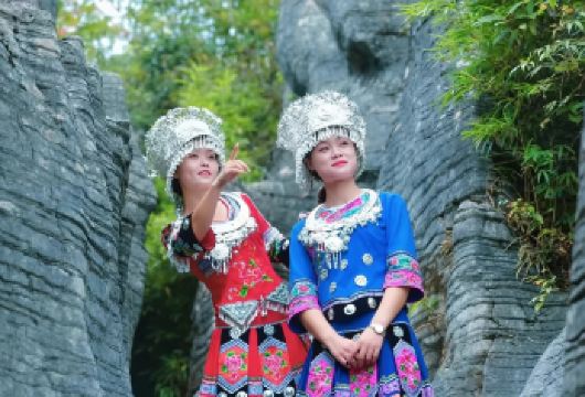 恩施梭布垭石林一日游【2至8人VIP小团+含景交+上门接送】【[出行无忧]一站式旅行服务，时间灵活，告别早起，根据人数升级车型，行程当天免费接送，安心出游！】