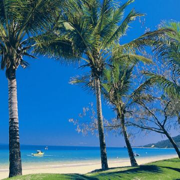 凯恩斯丹翠雨林＋苦难角一日游【升级游丨树顶探险丨含午餐早茶】