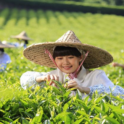 梅州大埔一日包车游【独立成团+司兼向导上门接】