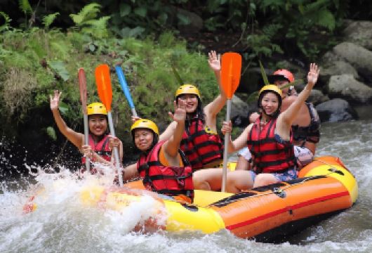 巴厘岛阿勇河漂流+大秋千+乌布皇宫&集市一日游【有专门的司机往返接送，让您出行无忧；】