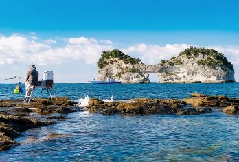 日本南纪白滨温泉+和歌山猫站长贵志电车+千畳敷+三段壁一日游【一手自营组团，出行安全无忧，超省心！】