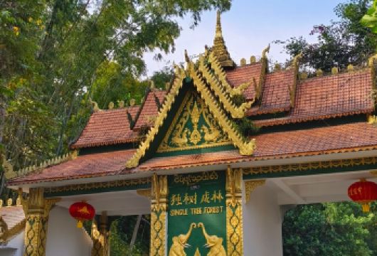 云南旅游西双版纳中缅边境一日游勐景来+中国打洛国门+独树成林【中国缅甸边境一日游，无限畅玩，中国打落国门，独树成林景区】