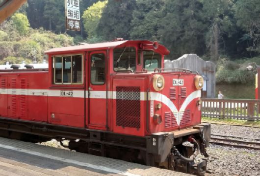 中国 台湾 嘉义 阿里山专车之旅【专车上门接送】