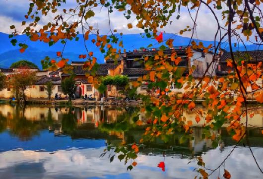 西递宏村景区守拙园一日游【青山绿水引诗赋，墨瓦白墙牵画魂】【-高性价比：纯玩无任何隐形消费，用心服务无套路，真纯玩！！！】