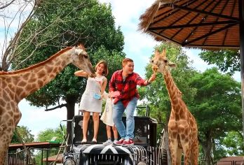 大城狮子动物园+玛哈泰寺遗址+柴瓦塔那兰寺一日游【私家小团】【纯玩，不购物，如有套餐外消费请自理】