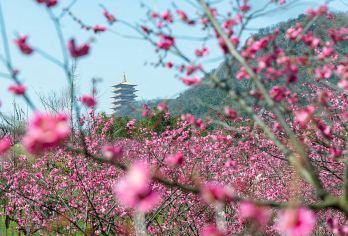 南京+牛首山& 皇家湖泊【玄武湖】中英俄/小语种专业导游F【全程中文/英文/俄语/多种小语种服务，专业讲解，沟通无障碍。】