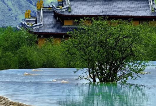 黄龙一日游|共享巴士&可选门票包含&可选&导游服务【专业导游带您深入了解联合国教科文组织认证的钙华奇观 直达班车将九寨沟国家公园与黄龙景区相连，随后直达黄龙九寨站，在壮丽景色中*大限度减少旅途奔波 您可以选择从黄龙九寨站或九寨沟出发。如有任何疑问，欢迎随时咨询我们:)】