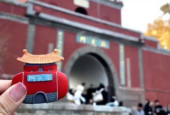 泰山风景区一日游【爸妈祈福团◆上门接送◆午餐◆免排队可索道】【[高端家庭游]济南出发二环内上门接送，严选司机全程贴心服务，土著导游深度讲解，带您寻觅泰山封禅证据！】