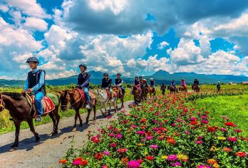 尊享拉市海纯玩一日游【骑马+划船+网红庄园拍照打卡】随定随行【0进购物店；0购物；真纯玩】