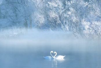 新疆伊犁天鹅泉湿地公园一日拼团游【天鹅泉雾凇+赠送喀赞其+六星街下团自由活动】