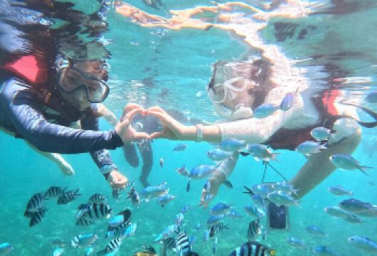 亚庇环滩岛一日游 环滩之恋浮潜/深潜 可组合孟河红树林 【1.环滩岛出游，享受海岛度假美好时光！】