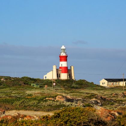南非 | 开普敦一日游【包车10小时】