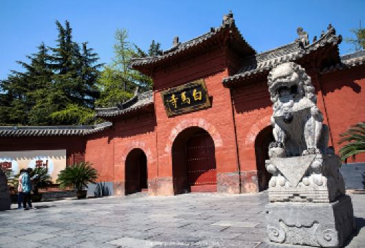 白马寺 1H专业导游深度讲解 /包含耳麦/可选拼团或包团【[白马寺]因“白马驮经”的典故得名，沿中轴线分布，有天王殿、大佛殿、大雄殿】