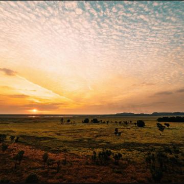 澳大利亚北领地 达尔文卡卡杜鳄鱼船 1日游（英文团）