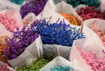 昆明滇池海埂公园+西山龙门+官渡古镇+斗南一日游【8人小团】【[产品保障]一手操作，品质保障，让您安心出游，绝无后顾之忧！】