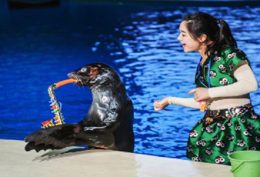重庆乐和乐都动物主题乐园一日游【2-8人轻奢小团】【[品质亮点]：2-8人精致小团，含门票，您不操心繁琐的排队购票事情及等待苦恼，旅游管家为您操办一切，】