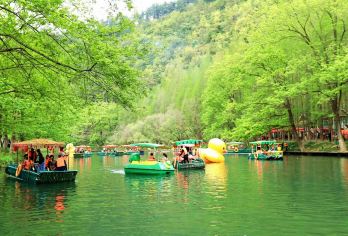 汉中油菜花高铁一日游-不请假-10点高铁站集合-18点送高铁【10点高铁站集合，18点送高铁，天天发团，深度油菜花体验一日游】