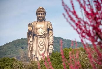 无锡博物馆+古运河游船+灵山大佛|包车日游【中英俄法德西】#【[妙趣之旅]体会到沉稳的中式之美，传承千年文化精髓。】