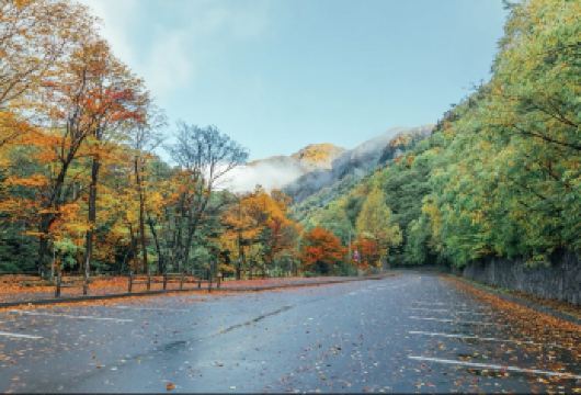 日本登别地狱谷-登别尼克斯海洋公园【北海道中文专车】【中文专车出行，景点灵活调整，打卡经典，游玩自己定义，无需等待，专属贴心服务，尽享惬意旅程】