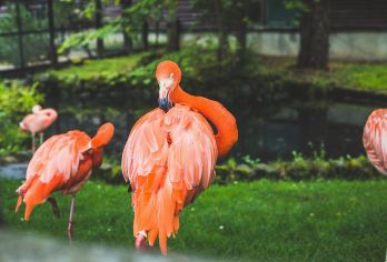 日本札幌往返旭山动物园富良野/可小樽登别北海道多日包车-精选【包车一日游，解锁旅行新方式！独立车辆配备经验丰富的老司机，为您量身打造专属行程。】