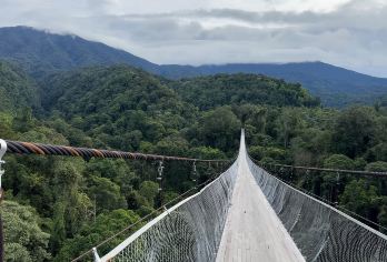 台北：大溪老街、茶厂、小乌来一日游【漫步大溪老街，品尝当地茶饮。 探索小乌来空中步道，饱览山谷的壮丽景色。 探索绞板山公园的秀丽风光和葱郁景色】