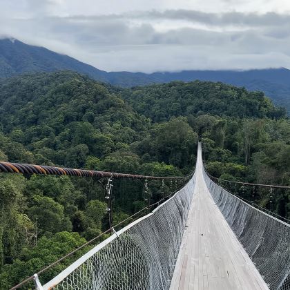 台北：大溪老街、茶厂、小乌来一日游
