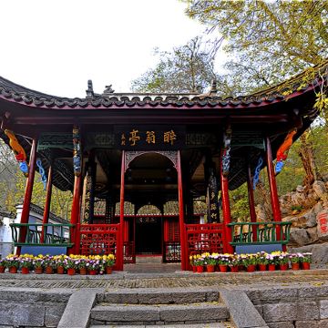 南京出发往返：琅琊山景区+池杉湖国家湿地公园一日游