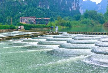 【独立团含接送】德天瀑布+明仕度假区鱼鳞坝1日游含明仕观光车【[安心游]真正纯玩，无购物，不担心强制消费！】