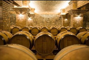 【品宁夏葡萄酒私家团】宁夏源石酒庄+西夏陵+贺兰山岩画一日游【纯玩私家团，更方便，更自由。】