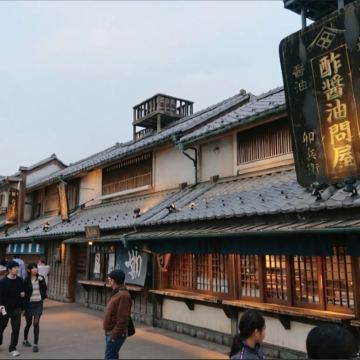 国营常陆海滨公园 & 足利花卉公园之旅