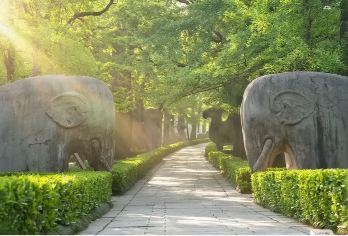 18人精品小团丨中山陵+音乐台+梧桐大道+美龄宫+明孝陵【[品质保证]钟山风景区一网打尽，无购物无自费，专职导游，舒适安全出行！】