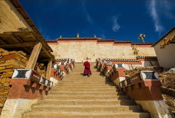 丽江+虎跳峡+香格里拉一日游【环纳帕海+回程高速+不推骑马】【[环纳帕海+深入草原腹地，打卡各网红景点！▼网红墙+纳帕海经幡。美景随心拍！▼不推销骑马+全程纯玩]】