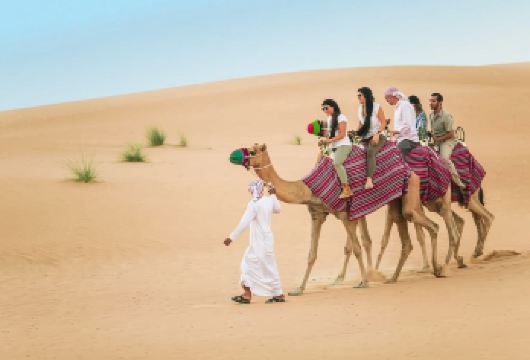 迪拜沙漠探险之旅 【阿拉伯红沙丘沙漠冲沙】—夜间沙漠探险【迪拜和沙迦多数酒店可接载，开启一段惊险刺激的冲沙之旅！】
