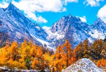 毕棚沟一日游【VIP包车游丨真纯玩1单1团1车丨上门接送】【[纯玩出行]出发时间可自由调节，全程不进购物店，无隐形消费，行程透明，请放心旅行哦~】