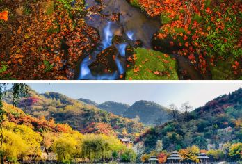 【沧州出发】济南九如山汽车一日游【品质出游】